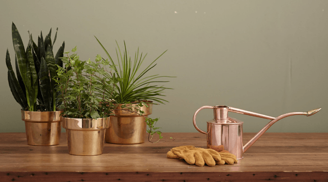 உங்களுக்கு தெரியுமா தண்ணீருக்கு நினைவாற்றல் இருக்கின்றது!! 4 உங்களுக்கு தெரியுமா தண்ணீருக்கு நினைவாற்றல் இருக்கின்றது!!