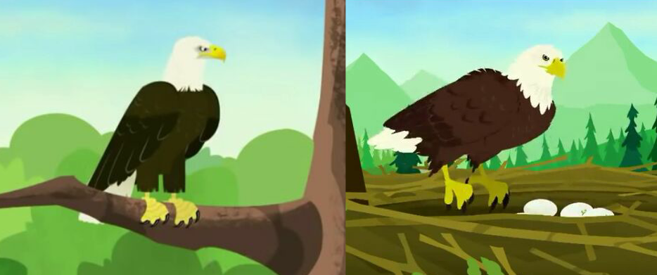 கழுகின் வாழ்க்கையும் தனித்திருத்தலின் முக்கியத்துவமும்!! 1 கழுகின் வாழ்க்கையும் தனித்திருத்தலின் முக்கியத்துவமும்!!