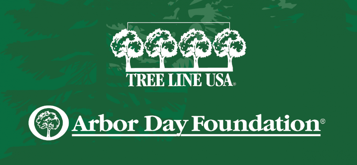 Youtube பிரபலங்கள் 20 மில்லியன் மரங்களை நடுகிறார்கள் 2 Youtube பிரபலங்கள் 20 மில்லியன் மரங்களை நடுகிறார்கள்