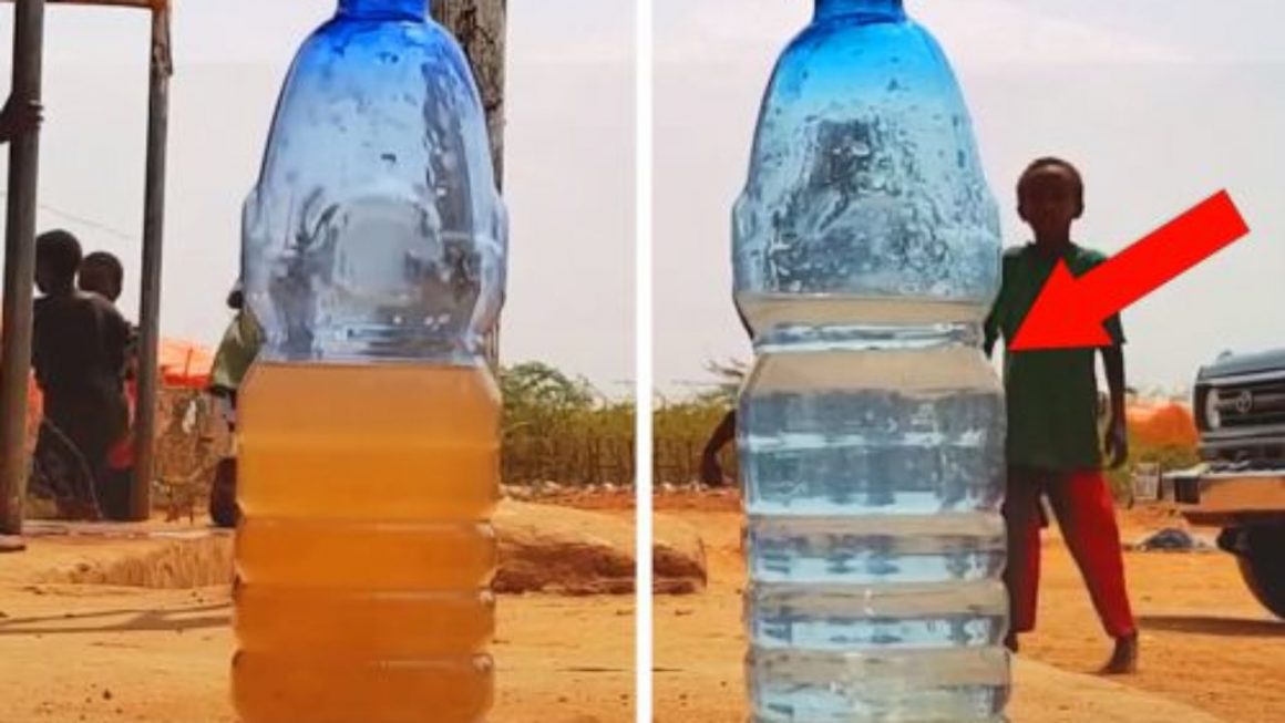 விலைகுறைந்த நீர் மற்றும் ஊட்டச்சத்து வறுமைக்கு தீர்வாகிறது 2 விலைகுறைந்த நீர் மற்றும் ஊட்டச்சத்து வறுமைக்கு தீர்வாகிறது