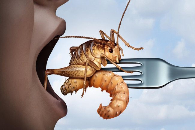 உலகம் சந்திக்கவிருக்கும் எதிர்கால உணவுகள்!! 6 உலகம் சந்திக்கவிருக்கும் எதிர்கால உணவுகள்!!