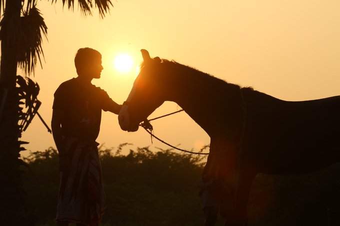 தனுஷ் நடித்து வெளிவர இருக்கும் படம் கர்ணன்!! 5 தனுஷ் நடித்து வெளிவர இருக்கும் படம் கர்ணன்!!