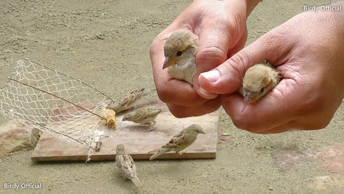 உங்களுக்கான கனவுகளும் பலன்களும் பகுதி 14 7 உங்களுக்கான கனவுகளும் பலன்களும் பகுதி 14