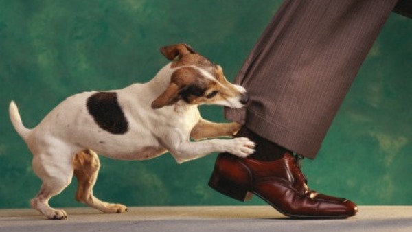 உங்களுக்கான கனவுகளும் பலன்களும் பகுதி 15 7 உங்களுக்கான கனவுகளும் பலன்களும் பகுதி 15