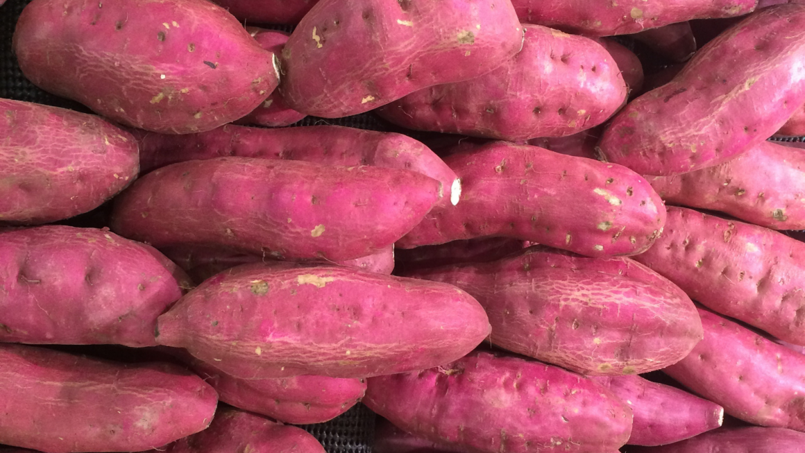 முகப்பரு வடுக்களைக் குறைக்க இந்த உணவுகளை எடுத்து கொள்ளுங்கள் 5 முகப்பரு வடுக்களைக் குறைக்க இந்த உணவுகளை எடுத்து கொள்ளுங்கள்