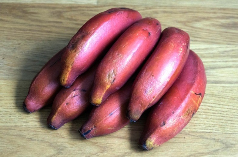 செவ்வாழையில் ஏராளமான சத்துக்கள் அடங்கியுள்ளது!! 2 செவ்வாழையில் ஏராளமான சத்துக்கள் அடங்கியுள்ளது!!