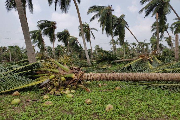 உங்களுக்கான கனவுகளும் பலன்களும் பகுதி 17 4 உங்களுக்கான கனவுகளும் பலன்களும் பகுதி 17