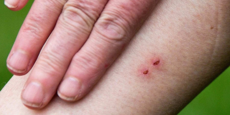 உங்களுக்கான கனவுகளும் பலன்களும் பகுதி 16 6 உங்களுக்கான கனவுகளும் பலன்களும் பகுதி 16