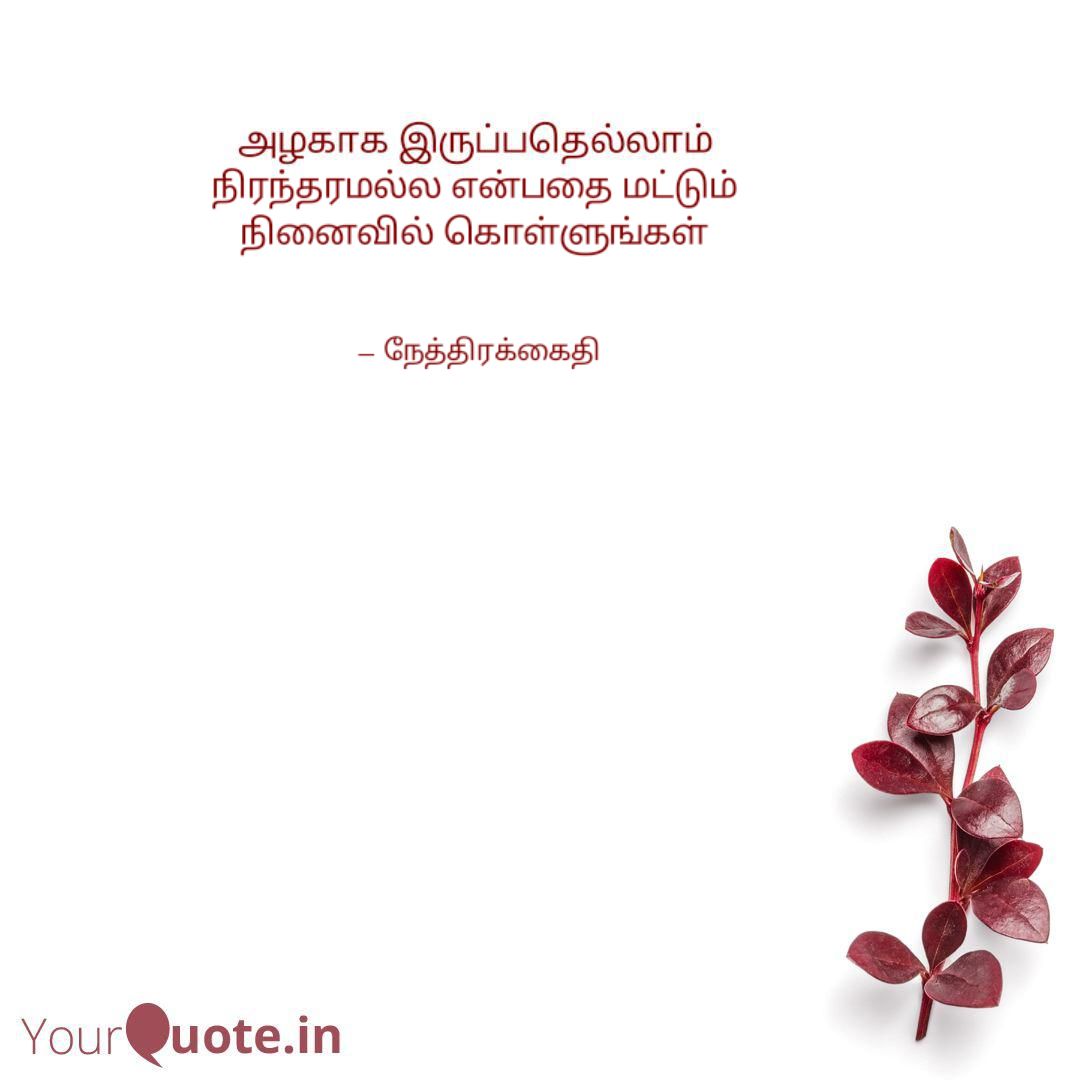தேநீர் சிந்தனைகள் -1: நேத்திரக்கைதியுடன் கவிதை உரையாடல் 5 தமிழ் சிந்தனை : நேத்திரக்கைதி