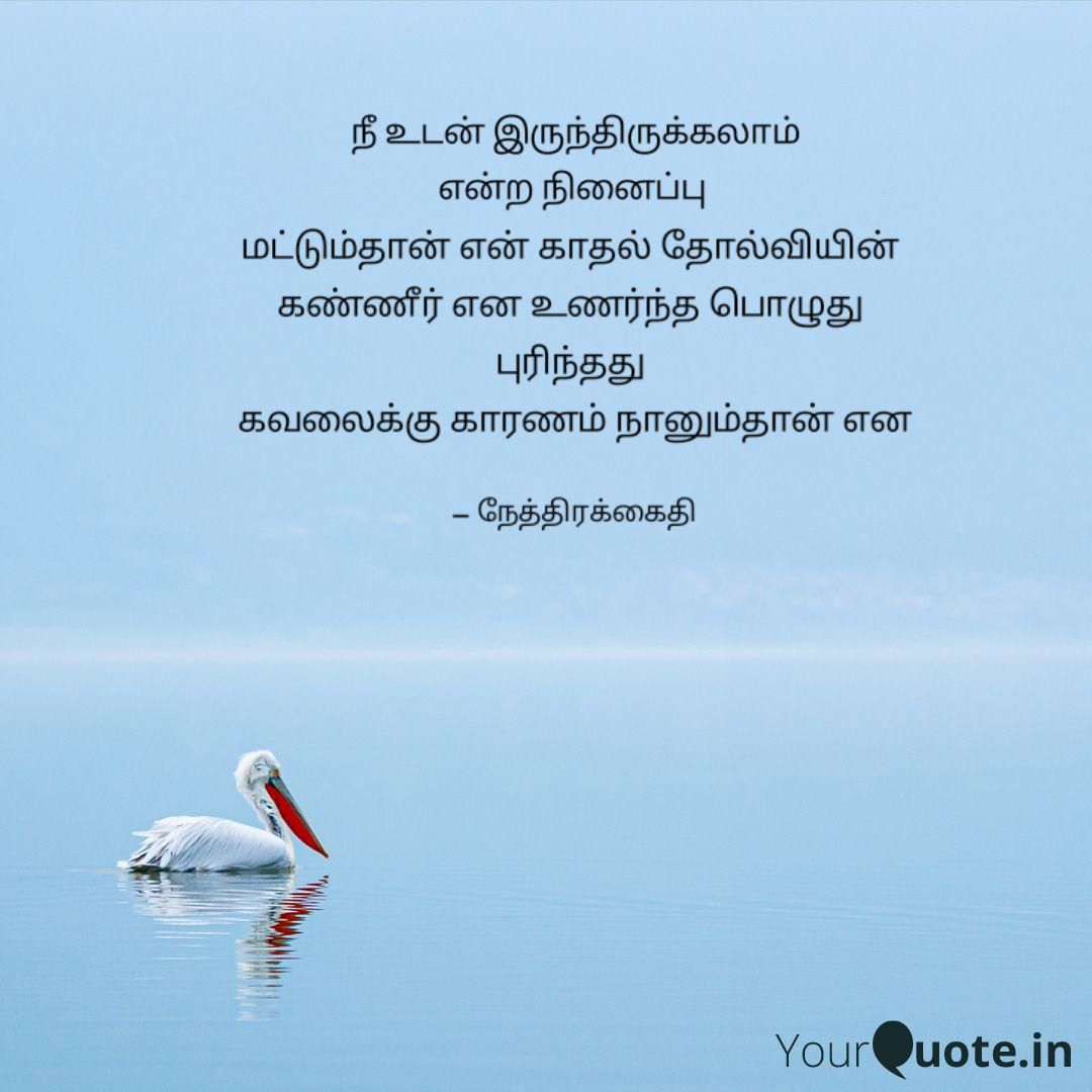 தேநீர் சிந்தனைகள் -1: நேத்திரக்கைதியுடன் கவிதை உரையாடல் 6 தமிழ் சிந்தனை : நேத்திரக்கைதி