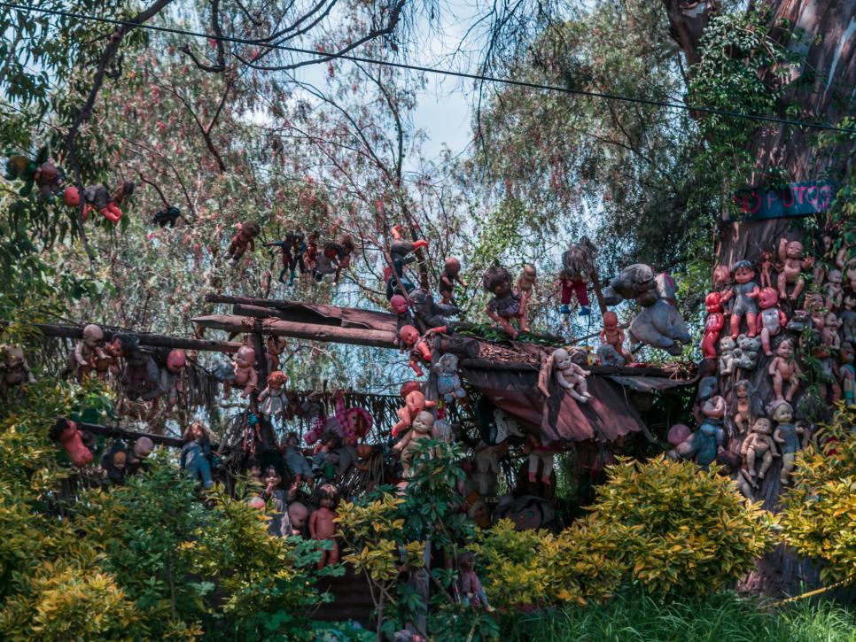 உலகின் அமானுஷ்யமான பேய் பிடித்த 4 காடுகள் 1 உலகின் அமானுஷ்யமான பேய் பிடித்த 4 காடுகள்