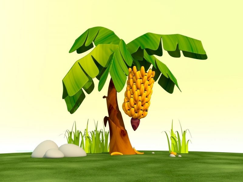 இணையவழிக் கல்வியின் சாதக பாதகங்கள் ஒர் ஆய்வு..!